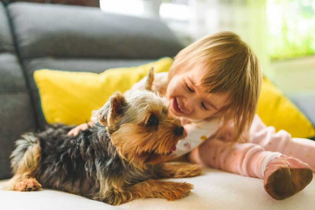 Cane e bambino: consigli per la convivenza