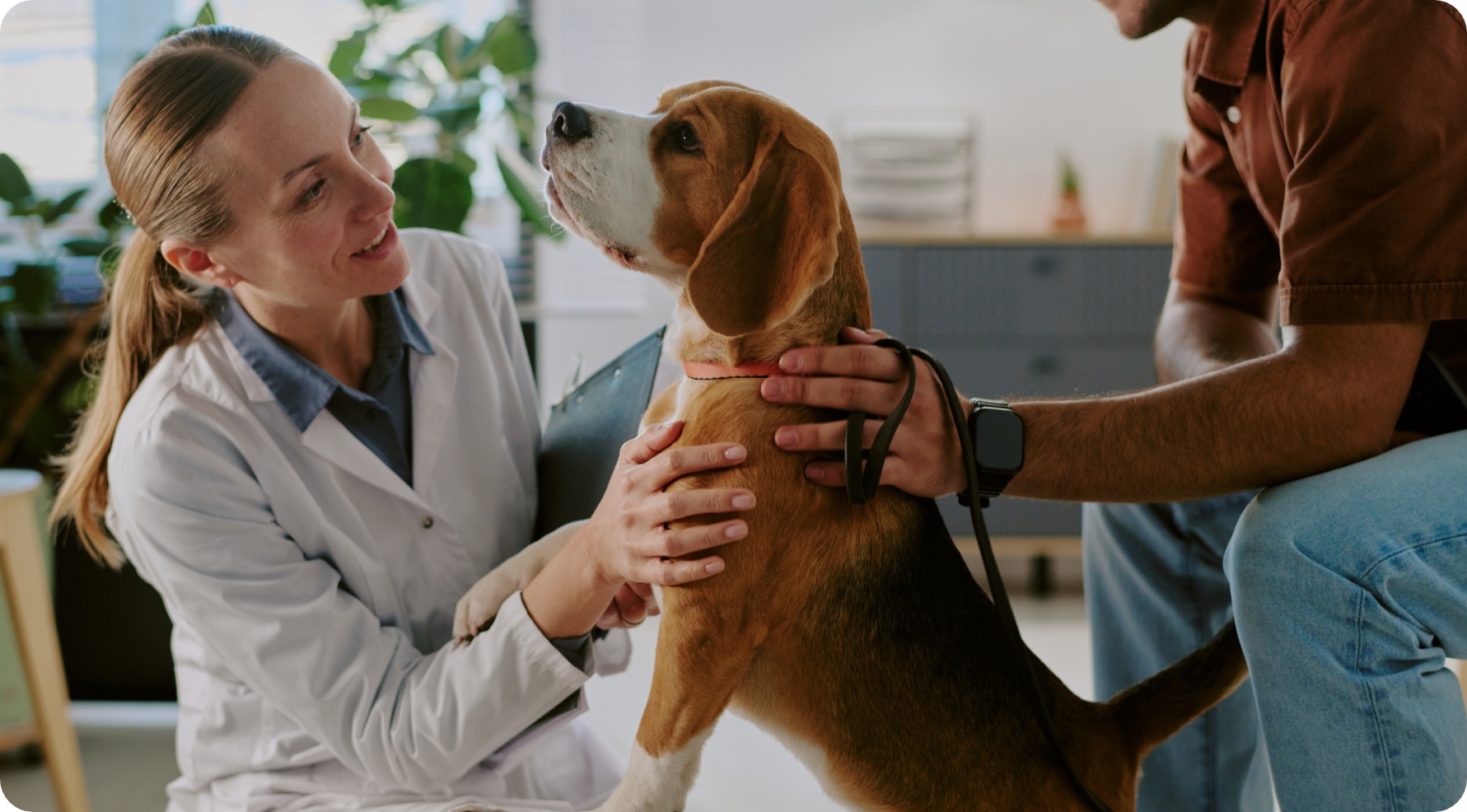La tua rete<br>veterinaria in Italia.